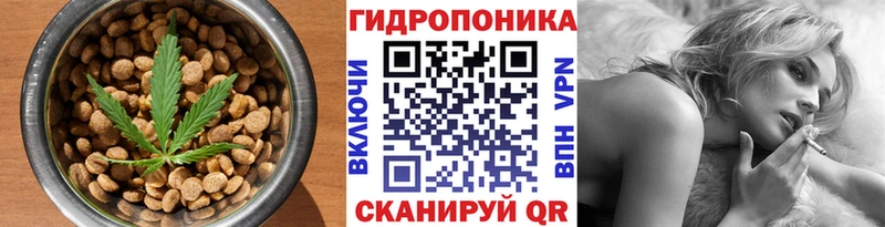дарнет шоп  Кисловодск  Canna-Cookies конопля 