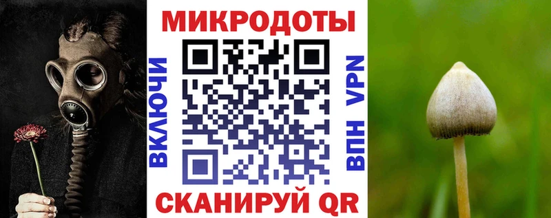OMG рабочий сайт  наркошоп  Кисловодск  Псилоцибиновые грибы Cubensis 